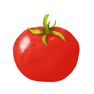 tomato isolated on white background, tomato drawn in watercolor on a white background, drawing vegetables in watercolor, tomato watercolor, tomatoes on a light background,Tomato Vegetables Clipart