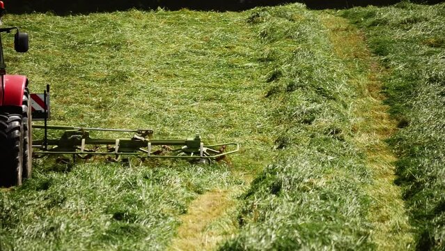 Summer meadow with tractor chopping grass 