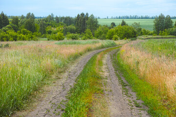 Fototapeta na wymiar Road going through a field of grass in a rural area.
