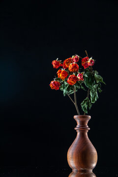 front view red flowers inside vase on dark background garden rose flower plant tree color black