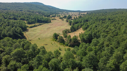 Drone view from forest scenery in Gargano Nationalpark in Italy 
