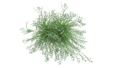 Various types of flowers grass bushes shrub and small plants isolated