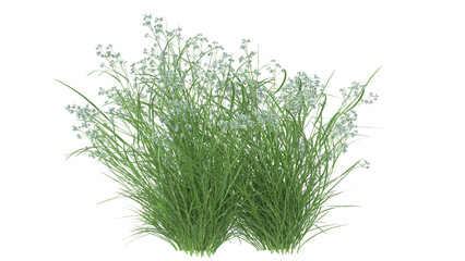 Various types of flowers grass bushes shrub and small plants isolated