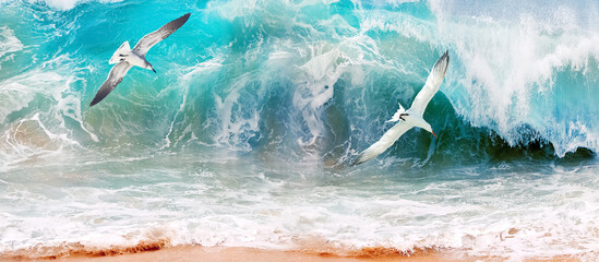 Mexico. Baja California sur. Storm on the ocean and a sea gulls. - 613243690