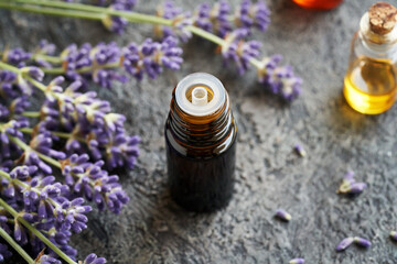 A dark bottle of essential oil with blooming lavender