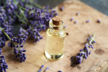 A bottle of essential oil with lavender flowers