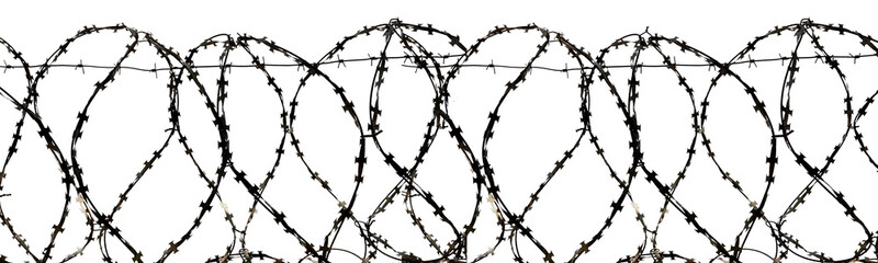 Barbed wire isolate. Territory protection wire