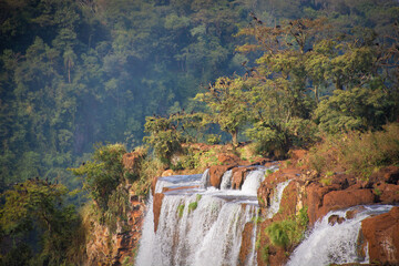 Fototapeta premium Cataratas del Iguazú (Arg.)