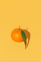 Minimal style composition made of fresh orange mandarin with green leaf on bright background. Summer refreshment and vitamin concept.