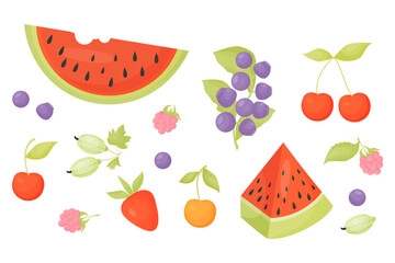 Collection summer berries. Forest blueberries and raspberries, garden cherries and strawberries, gooseberries and watermelon. Vector illustration in cartoon style. Isolated fruits on white background