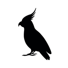 Cockatoo silhouette