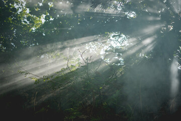 Beautiful Panorama in Banda Island, Central Maluku, Indonesia