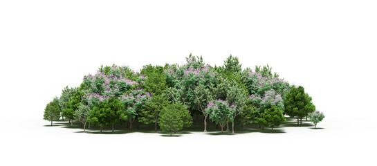 group of trees with a shadow on the ground, isolated on a transparent background, trees in the forest, 3D illustration, cg render