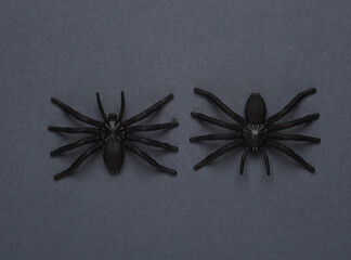 Plastic bats on a dark background. Halloween still life