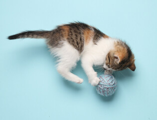 Little cute playful kitten plays with ball of thread on blue pastel background. Top view