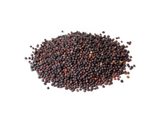 Macro close-up of Organic Black mustard seed (Brassica nigra) on white background. Pile of Indian...