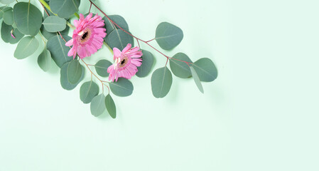 Fototapeta na wymiar wedding or mothers day backgroundgreen eucaliptus leaves over mint green background