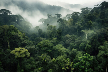 Rainforest landscape with trees and fog. Climate change and renewable energy. Generative AI