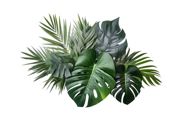 Fototapeta tropical plants , green leaves isolated on transparent background. made with generative Ai.	
 obraz