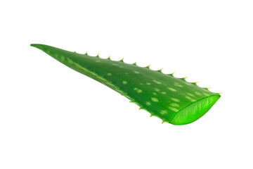 aloe vera, aloe vera slices isolated from background