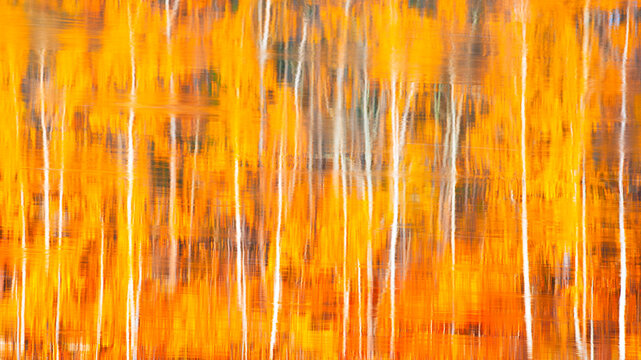 Autumnal textural  forest scenic abstract background with motion blur, toned in vintage style, reflection in water. Abstract autumn background with reflection effect