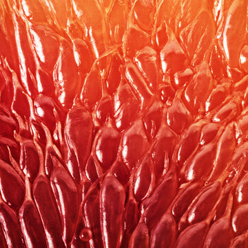  Grapefruit slice background. Texture of fresh grapefruit close-up. Abstract macro shoot.