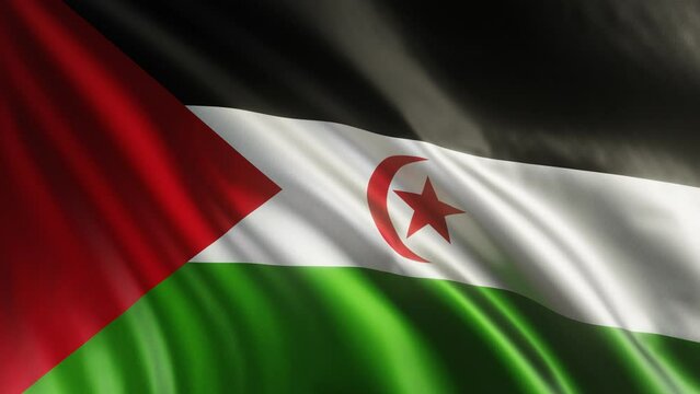 Waving flag of Western Sahara Africa. 4K seamless loop 3D render animation. Beautiful high detail fabric cloth satin texture with wrinkles. Fullscreen close up, slow motion