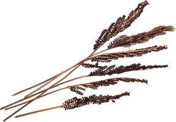 LAYER-LAB_0904202637_LC