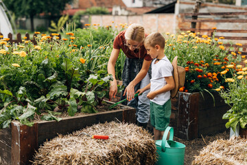 Happy boy and his mother are hoeing the soil together.