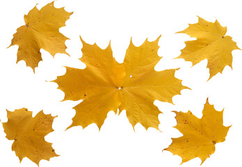 LAYER-LAB_1310191875_LC