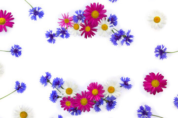 Frame of flowers white and pink chamomiles and blue cornflowers on a white background with space for text. Top view, flat lay