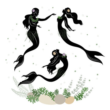 Mermaid silhouette. Beautiful girls swim in the water, dance. The lady is young and slim. Fantastic fairy tale image of algae, plants. vector illustration set.