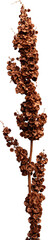 LAYER-LAB_2901187463_LC