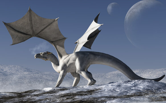 A winged white dragon with smoke drifting from its nostrils stands on a snowy hill in an artic wilderness. Two moons drift in the sky above in this fantasy scene. 3D Rendering
