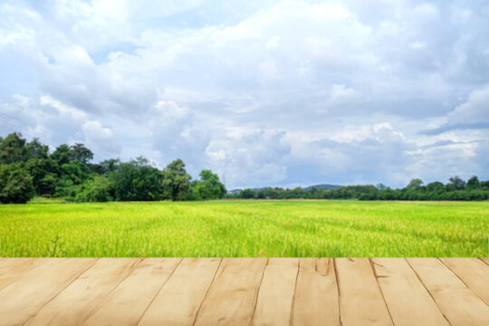 Wooden table with blurred field background as product frame showing natural background concept.