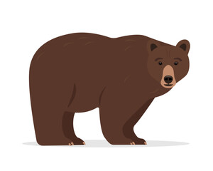 Wild brown Bear animal icon isolated on white background. Grizzly bear standing or walking. Vector illustration.