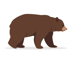 Wild brown Bear animal icon. Walking Grizzly bear. Vector illustration isolated on white background..