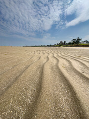 Naklejka premium sand dunes on the beach