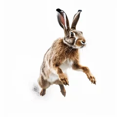 Foto op Aluminium Forest hare jumping on white background, illustration created with generative AI technologies © Ludmyla