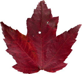 LAYER-LAB_1510192073-01_LC