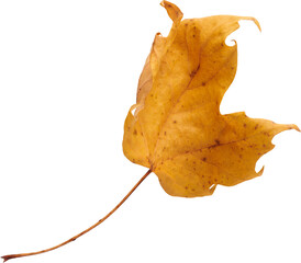 LAYER-LAB_1710228398-02_LC