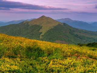 Bieszczady, widok na Połoninę Caryńska i Tarnicę z Poł C&hellip;