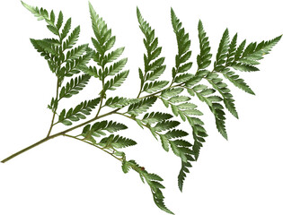 LAYER-LAB © Seb Dub