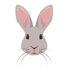 Fototapeta na wymiar Rabbit face or head front view. Wild forest or Farm animal or pet icon. Bunny rabbit. Vector illustration isolated on white background.