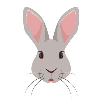 Rabbit face or head front view. Wild forest or Farm animal or pet icon. Bunny rabbit. Vector illustration isolated on white background.