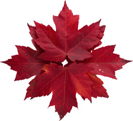 LAYER-LAB_1210191803_LC