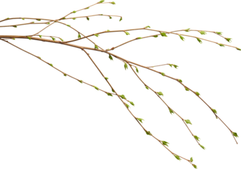 LAYER-LAB_0705186246_LC