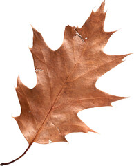 LAYER-LAB_0708181657-02_LC