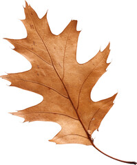 LAYER-LAB_0708181657-01_LC