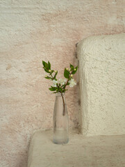Vertical close-up of a little blooming branch of myrtle in a tiny glass bottle on an Italian...